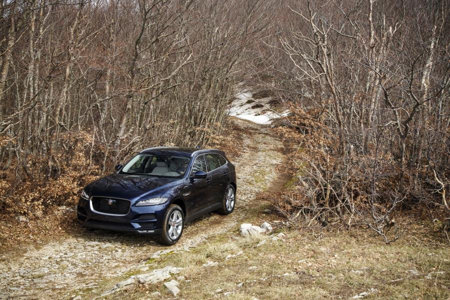  Jaguar F-Pace Portfolio 2016 года  (фото 14 из 31)